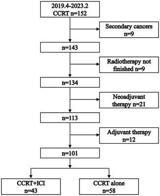 Immune checkpoint inhibitors combined with concurrent chemoradiotherapy in locally advanced esophageal squamous cell carcinoma